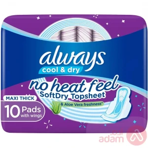 Always Clean Dry Large Wings | 10Pads