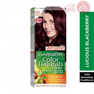 Garnier Color Naturals Luscious Blackberry | 3.61