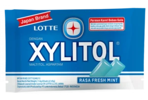 XYLITOL GUM FRESH MINT | 11.6 G