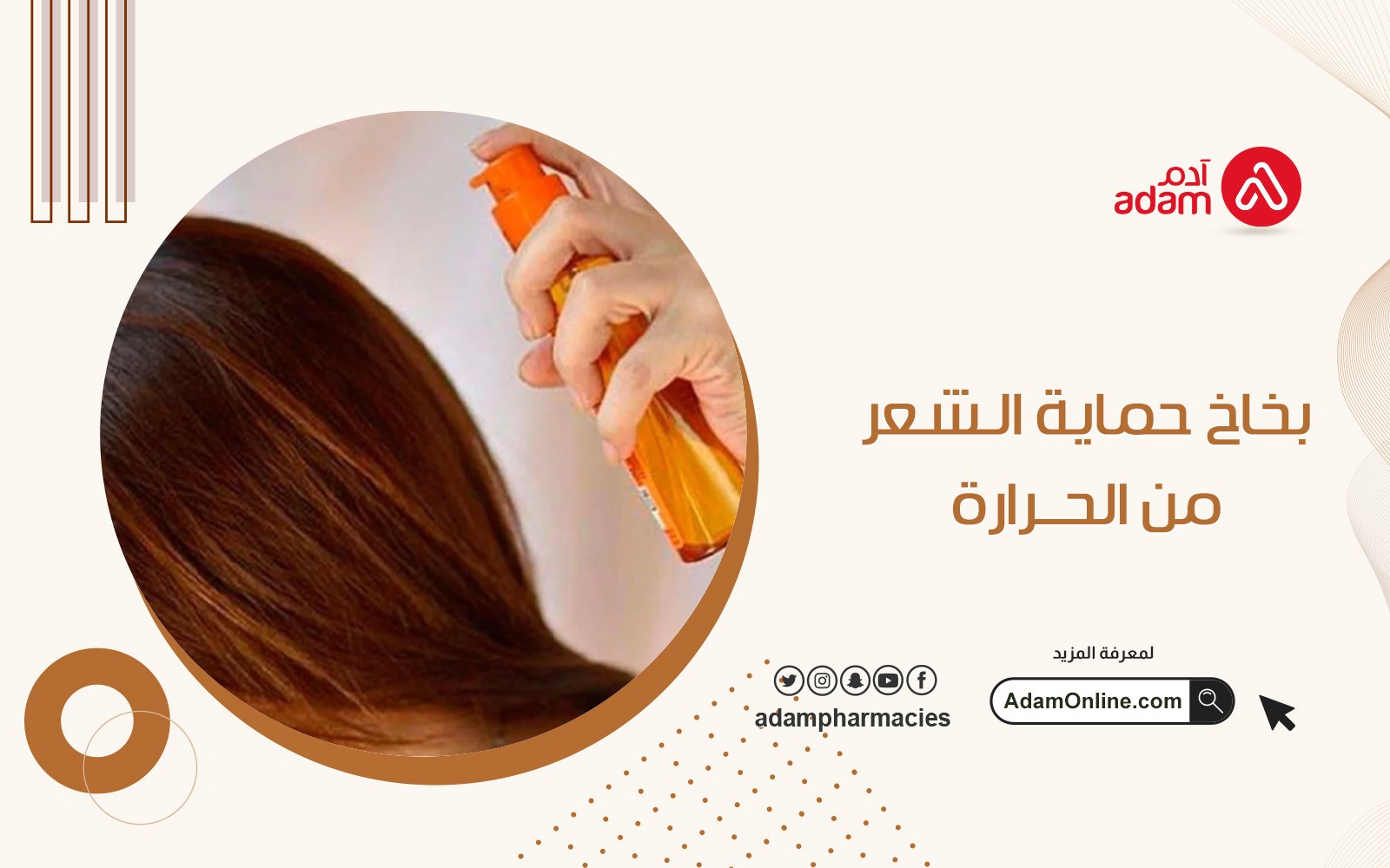 حماية الشعر من التساقط وتغذيته وزيادة لمعانه