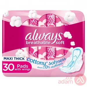 Always Cotton Soft Large Wings | 30Pads