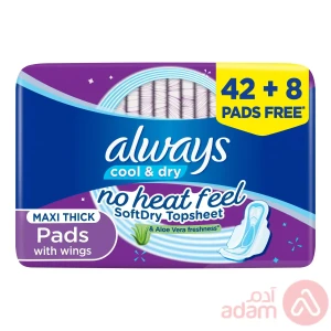 Always Clean Dry Large Large Wings | 50Pads