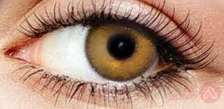 Wink Monthly Color Contact Lenses Golden Hazel