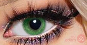 Wink Monthly Color Contact Lenses Natural Green