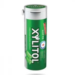 XYLITOL GUM LIME MINT | 29 G