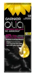 غارنية صبغة دائمة للشعر 1.0 أسود غامق