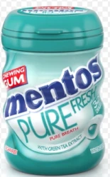 MENTOS GUM PURE FRSH WINTER GREEN32P