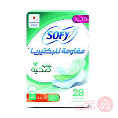 Sofy Antibact Healthy Skin Slim Lrg | 6X28Pad