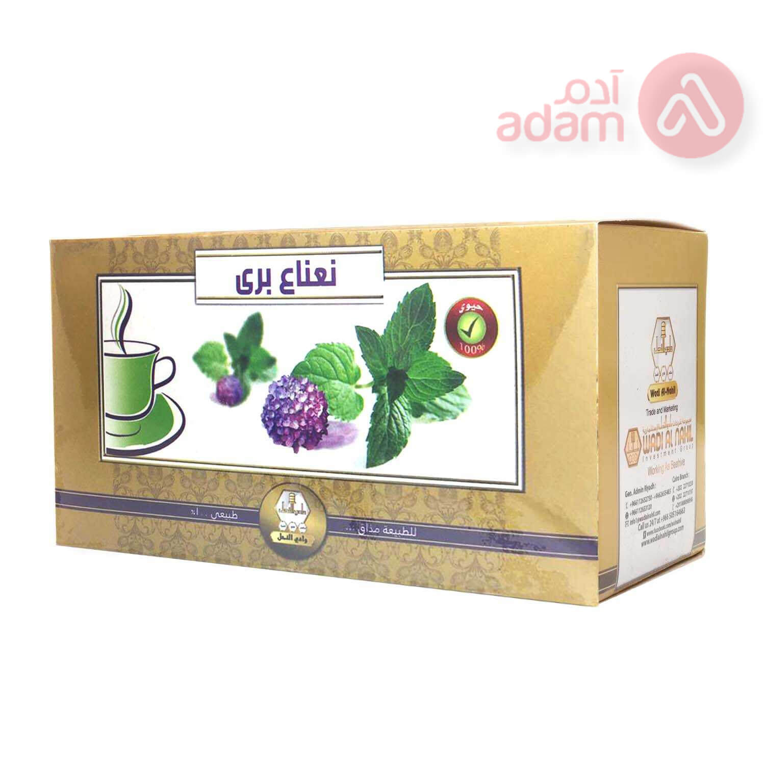 WADI AL NAHIL WILD MINT TEA | 30 BAGS