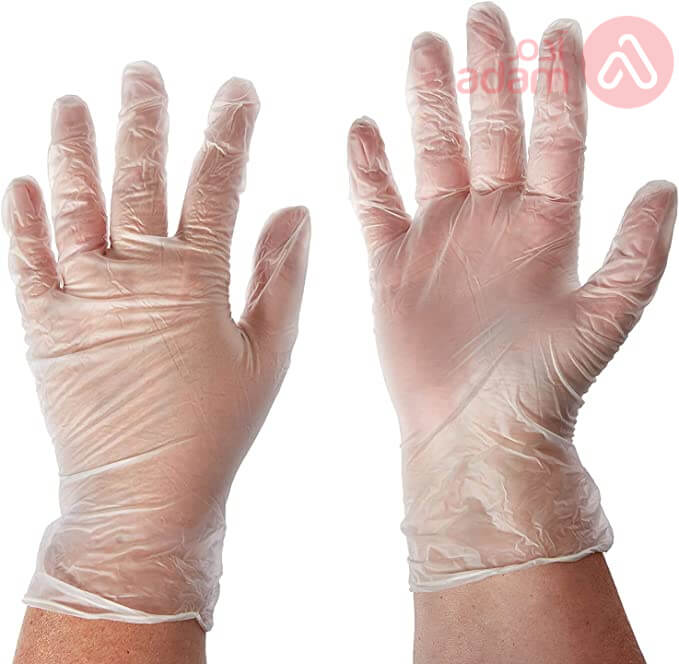 VINYL GLOVES POWDER FREE LARG 100PCS