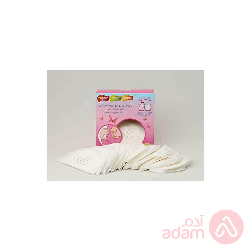 Dandi Breast Pads 24Pc