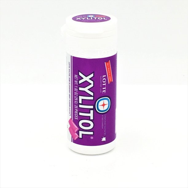 XYLITOL GUM BLUEBERRY MINT | 29 G