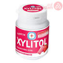 XYLITOL GUM STRAWBERRY MINT | 58 G