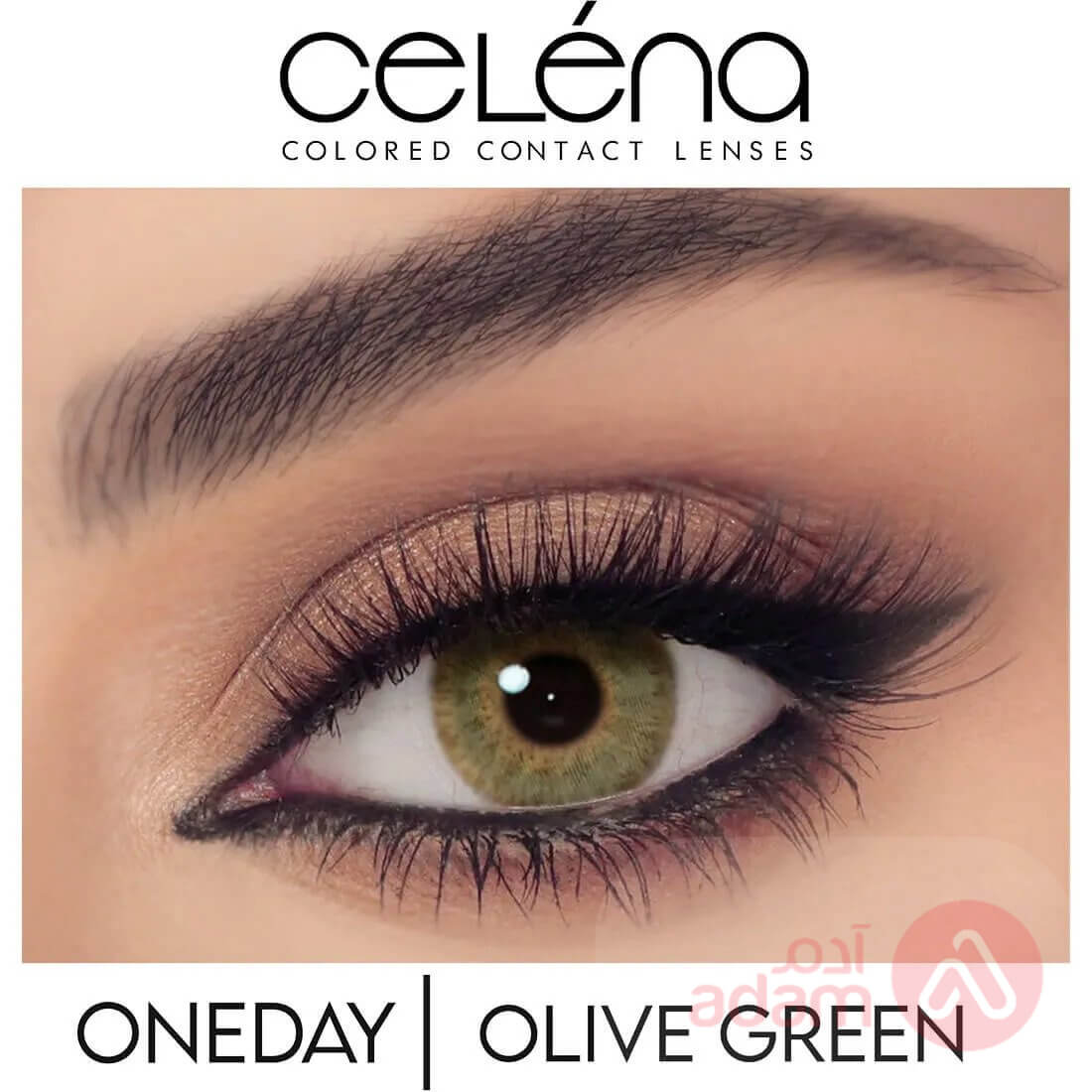 Celena Daily Olive Green