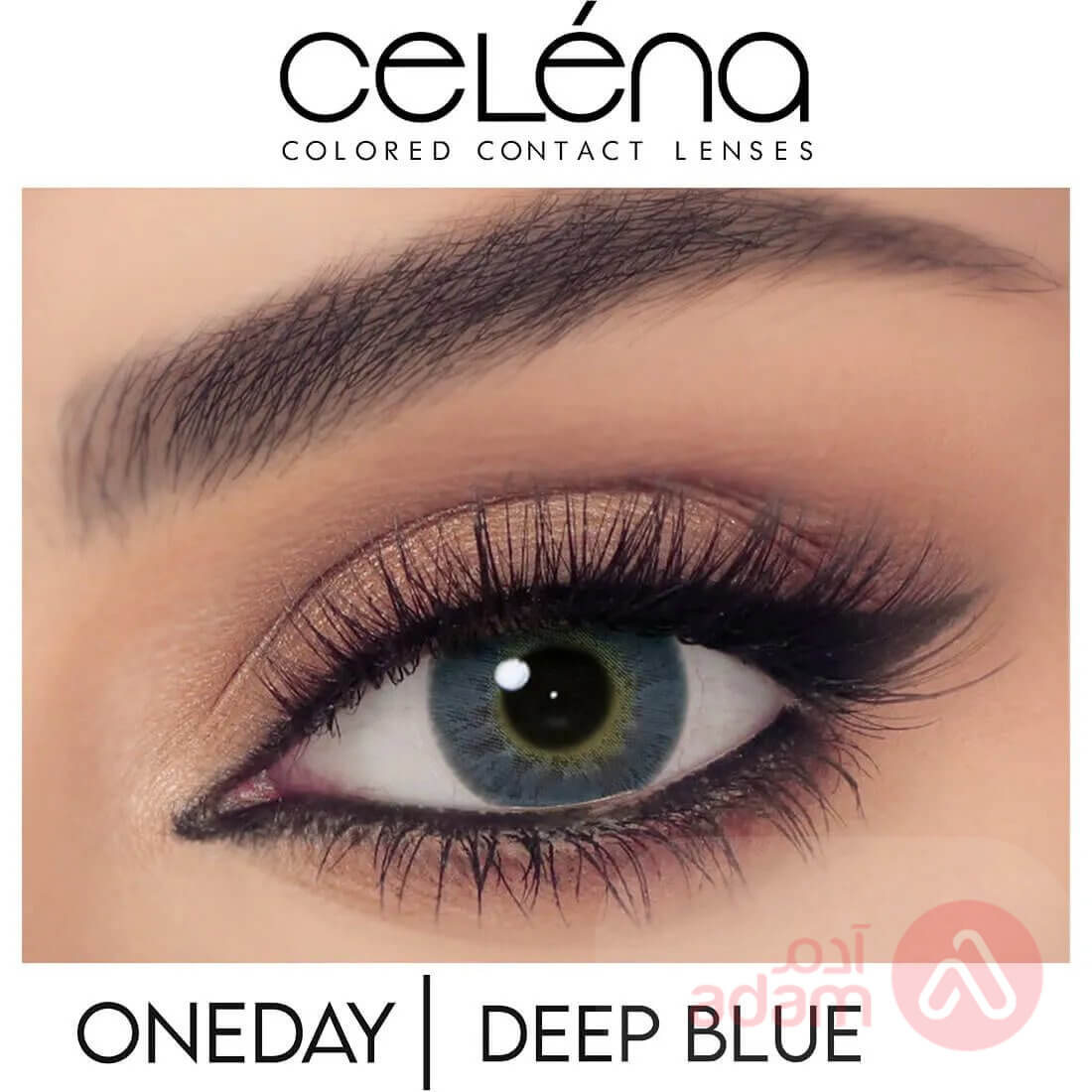 Celena Daily Deep Blue