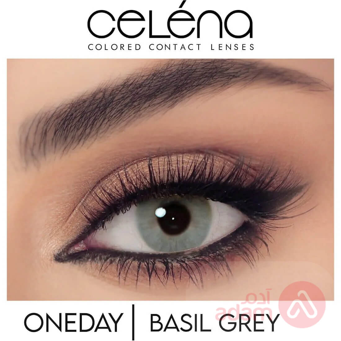 Celena Daily Basil Grey