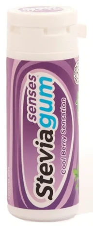 STEVIA GUM COOL BERRY BLUEBERRY MINT30GM