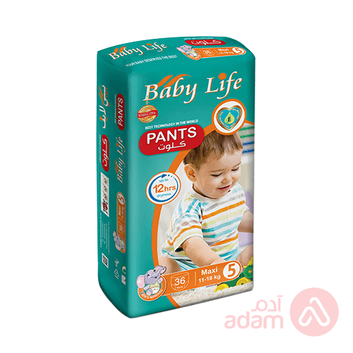 Baby Life Pants No 5 | 36Pcs