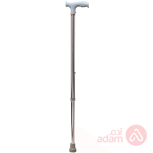 Walking Stick Steel Colour