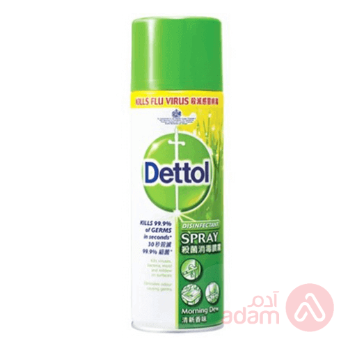 Dettol Spray Morning Dew | 450Ml