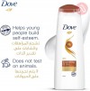 Dove Shampoo Nourishing Oil Care | 600Ml