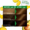 Garnier Color Naturals Light Golden Brown | 5.3