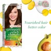 Garnier Color Naturals Brown | 4