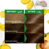 Garnier Color Naturals Dark Blond | 6