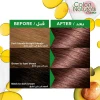 Garnier Color Naturals Pure Chocolate Brown | 6.7