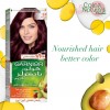 Garnier Color Naturals Deep Red Brown | 3.6