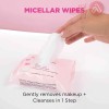 Garnier Skinactive Micellar Cleansing Wipes All In One | 25 Wipes