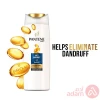Pantene Shampoo Anti Dandruff 2In1 | 600Ml