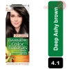 Garnier Color Naturals Deep Ashy Brown | 4.1