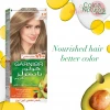 Garnier Color Naturals Deep Ash Light Blond | 8.11