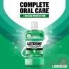 Listerine Teeth&Gum Defence Mouth Wash | 250Ml