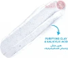 Garnier Pure Active Clay 3 In 1 Wash, Scrub & Mask | 50Ml