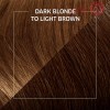 Koleston Root Touch Up Spray Dark Blonde To Light Brown | 75Ml
