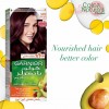 Garnier Color Naturals Luscious Blackberry | 3.61