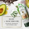 HERBAL ESSENCES OIL REPLACMENT ALOE AVOCADO 180ML