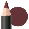 ASTRA PROFESSIONAL LIP PEN DARK RED 36