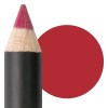 ASTRA PROFESSIONAL LIP PEN CHERRY 42