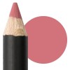 ASTRA PROFESSIONAL LIP PEN GENTL PETAL47